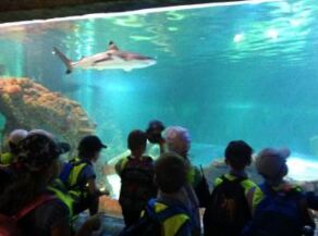Reception pupils visiting an aquarium